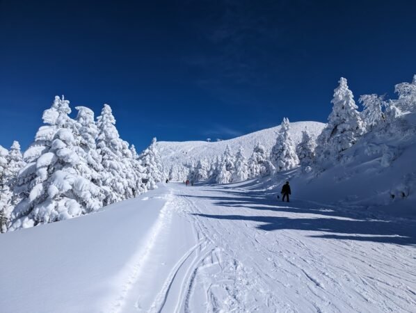 PXL 20230130 023935232