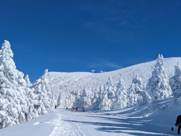 藏王溫泉滑雪場