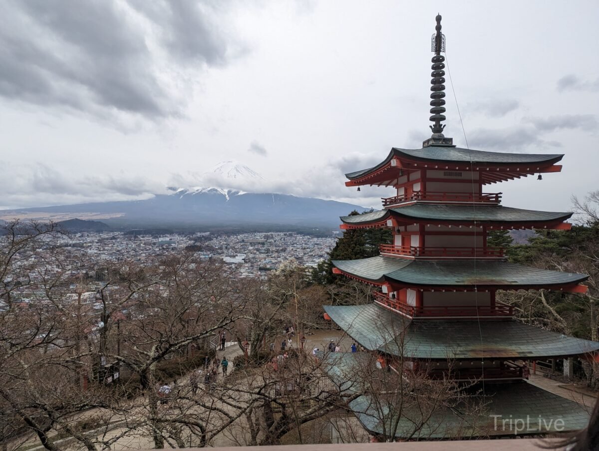 【日本】新倉山淺間公園、用東京廣域周遊券搭富士回遊號 - TripLive